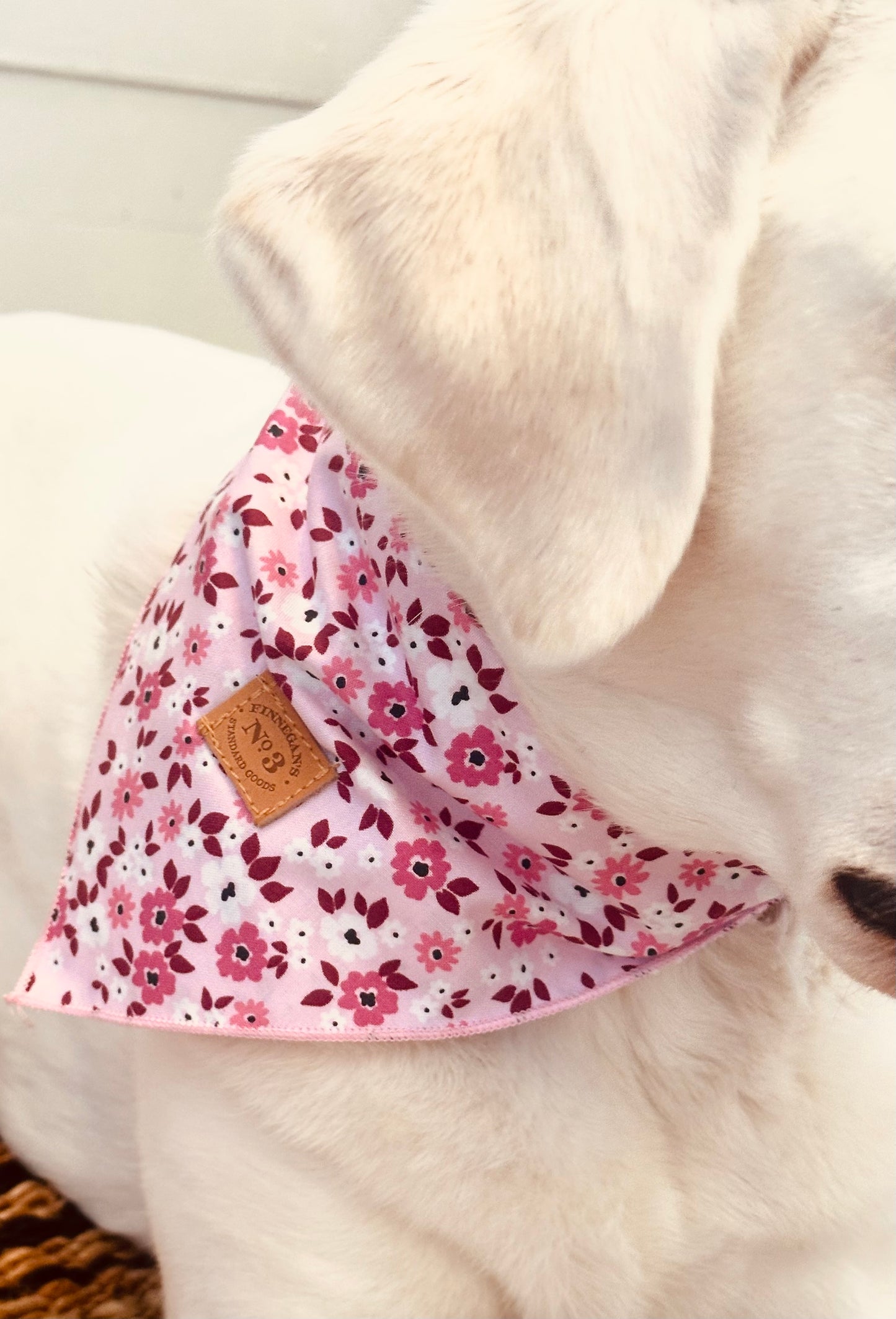 Lottie Bandana