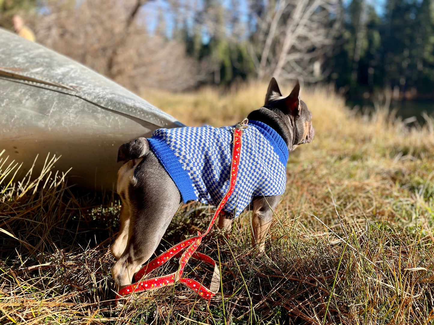 Cobalt Checkers Sweater