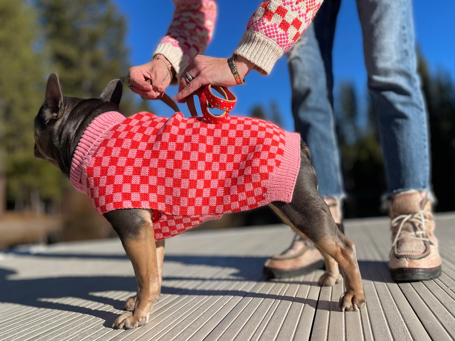 Check Sweater in Pinks