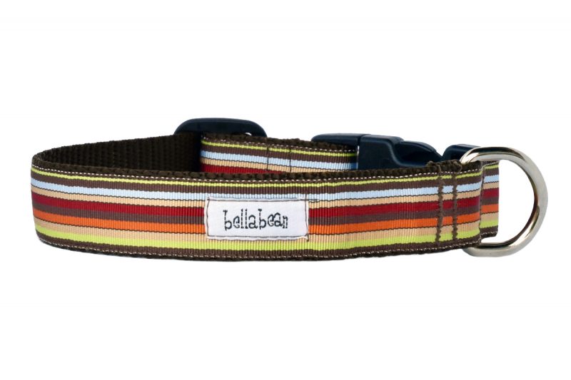 Handsome Hues Collars & Leads