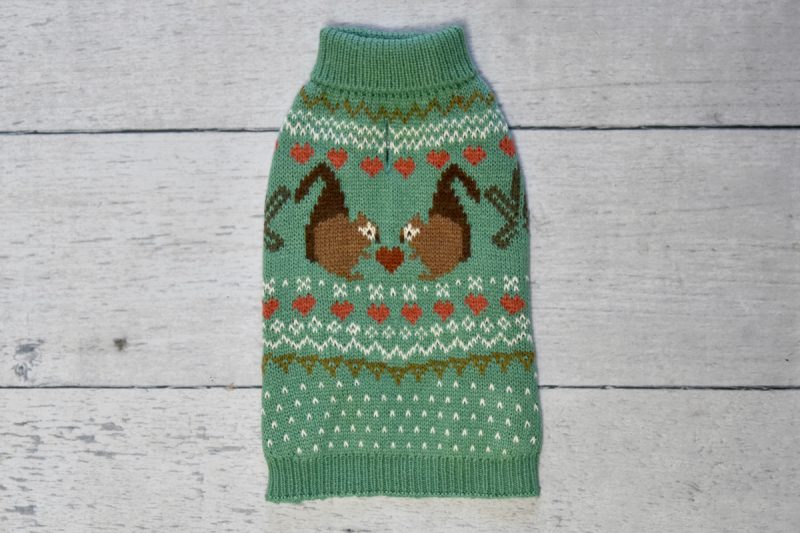 Squirrel Love Sweater