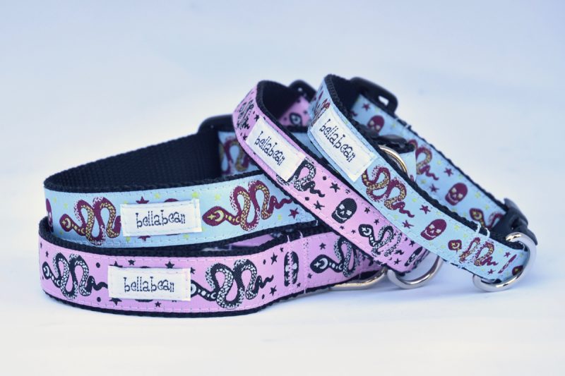 Private: Snakes & Skulls Collar, Harness & Lead