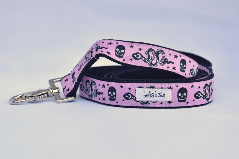 Private: Snakes & Skulls Collar, Harness & Lead