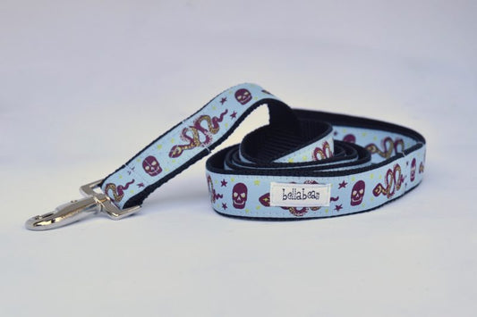 Private: Snakes &amp; Skulls Collar,  Harness &amp; Lead
