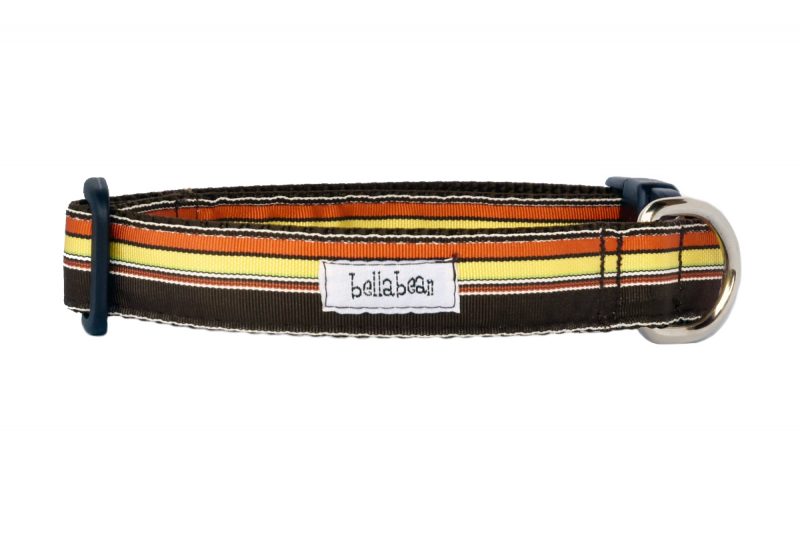 Handsome Hues Collars & Leads