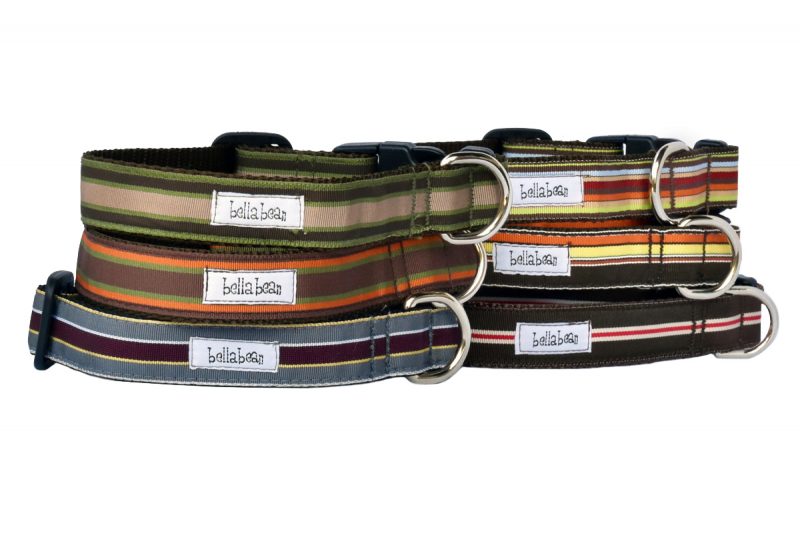 Handsome Hues Collars & Leads