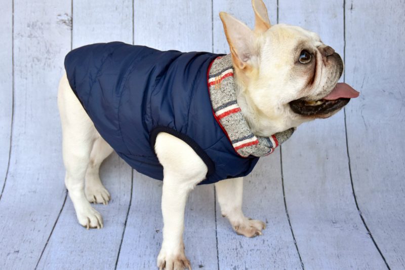 Navy Heather Grey Stripe Puffer Jacket