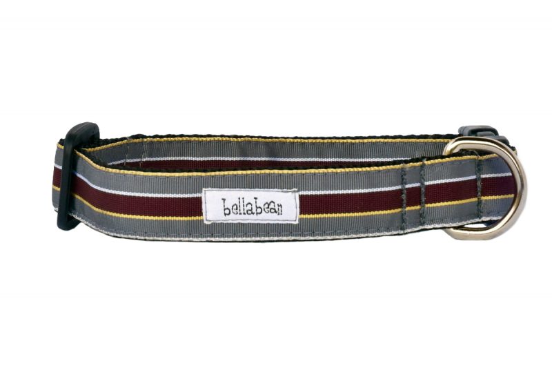 Handsome Hues Collars & Leads