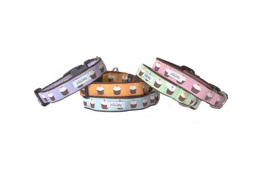 Cupcakes Collars, Harness & Leads