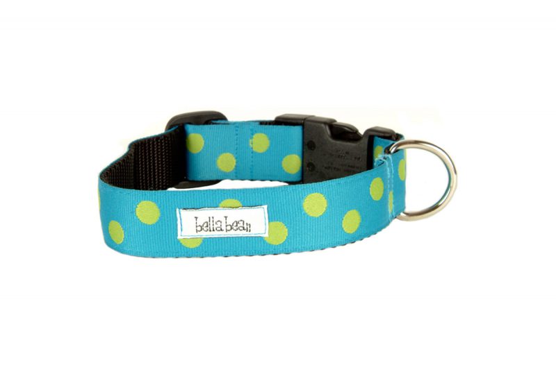 1 Inch Mod Dots Collars & Leads