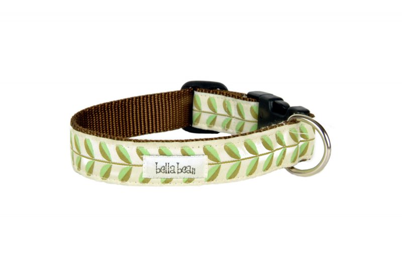 Modern Bloom Collar, Harness & Lead