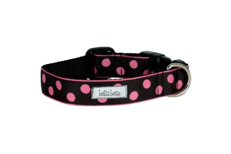 1 Inch Mod Dots Collars & Leads