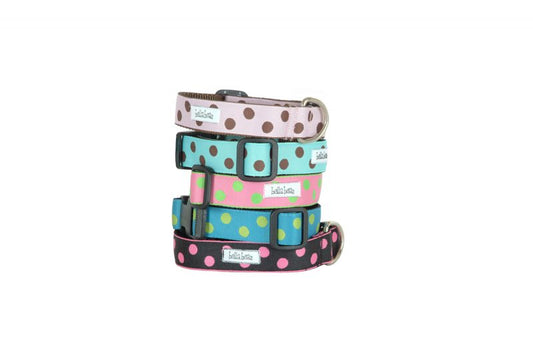 1 Inch Mod Dots Collars & Leads