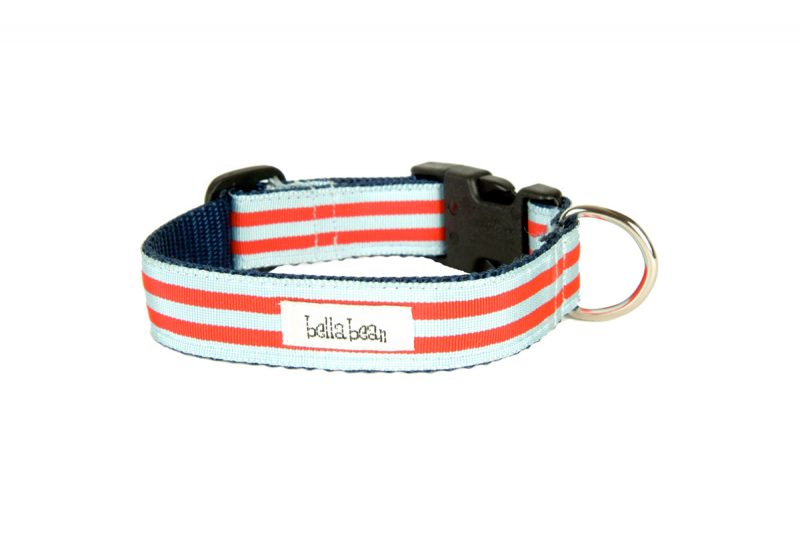 Chic Stripe Collars & Leads