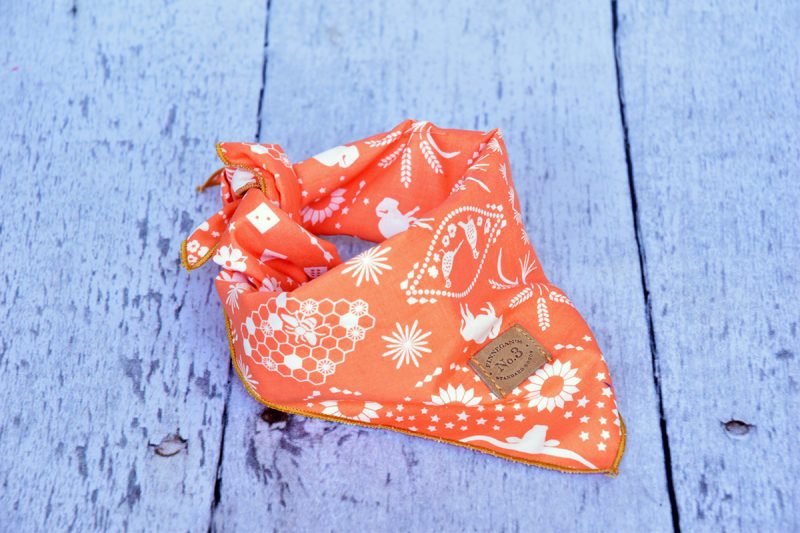 Tangerine Bandana