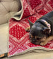 Red Bandana Blanket Bed