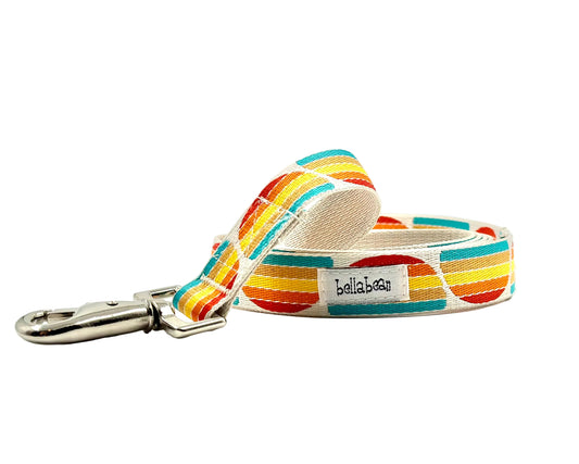 Colorful striped dog leash with a metal clip on a white background
