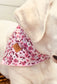 Lottie Bandana