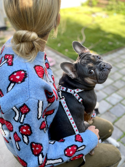 Toadstool Dog Collar & Lead