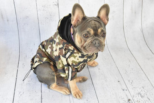 Camo Windbreaker