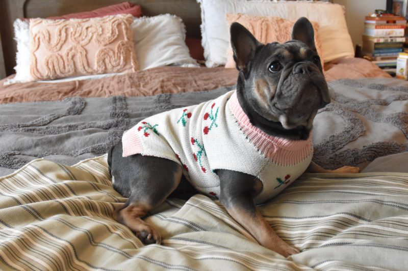 Bing Cherries Sweater