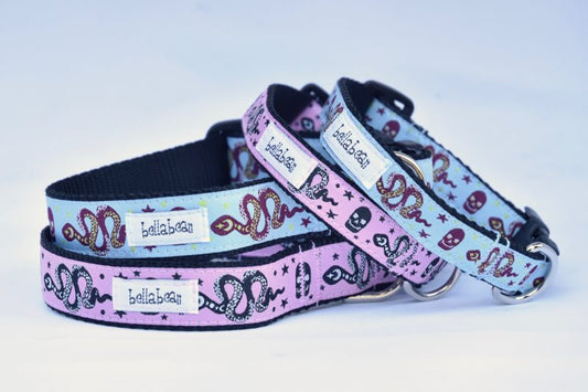 Snakes & Skulls