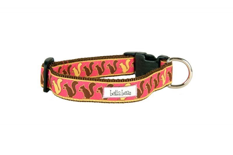 Bella bean fashion dog collars