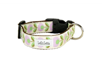 Modern Bloom Collar, Harness & Lead