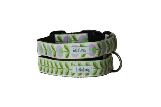 Modern Bloom Collar, Harness & Lead
