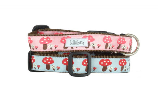 Toadstool Collar, Harness & Lead