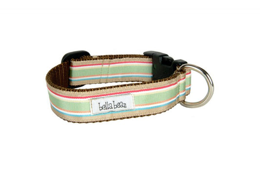 Lil Pup Preppy Stripes Collar & Leads