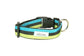 Lil Pup Preppy Stripes Collar & Leads